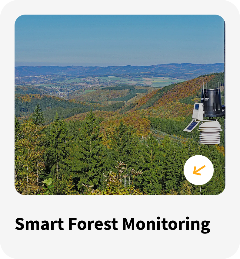 Forest MOnitoring