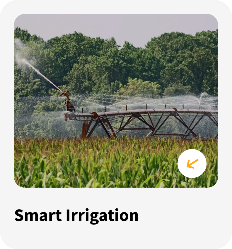 IRRIGATION
